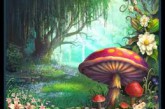 La foret qui a parleé a Jack