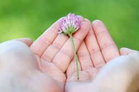 Life… be thankful for it
