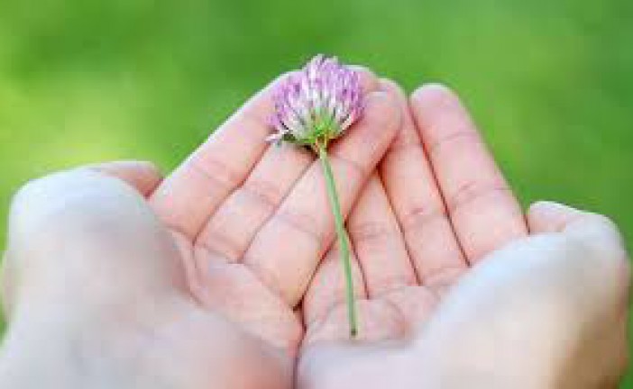 Life… be thankful for it